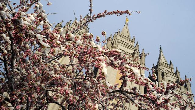 Temple de Salt Lake City